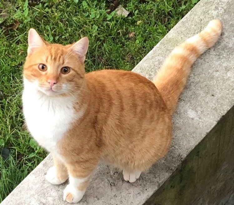 Sunt ea hic rerum re